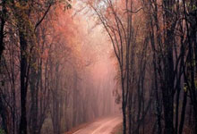 C7娱乐官网:萨内:对阵药厂后是否很难在比赛中保持强度?这不该成为借口.