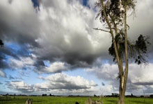 C7娱乐官网:落后3球完成大逆转!李毅社媒发文:山东泰山值得让人尊敬.