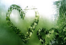 为梦闪亮!亚残运会形象宣传片《追梦》人民日报客户端.