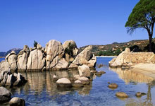 球探报告:巴黎17岁中卫塔佩,模板萨利巴.